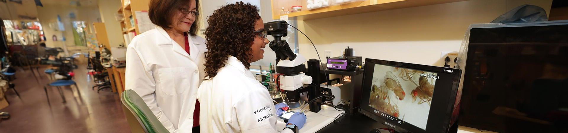 Students work with a microscope in the Dillman lab